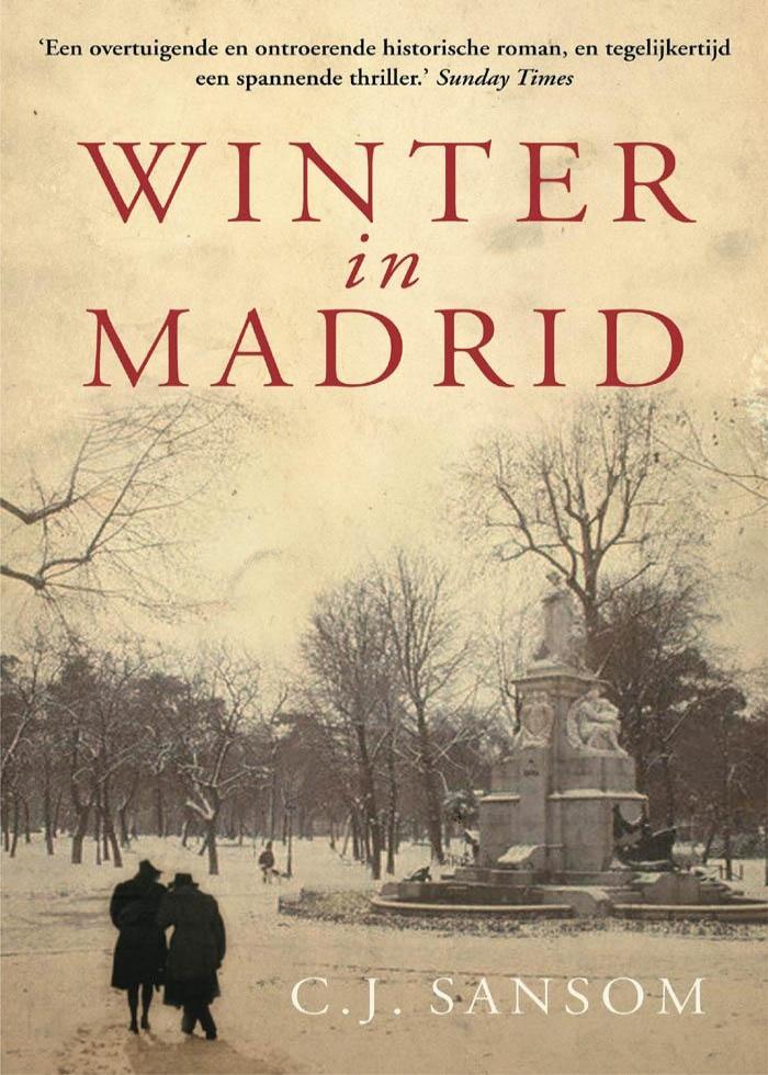 Winter In Madrid